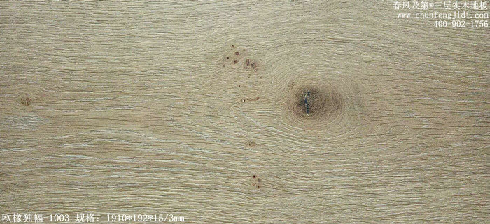 1003_副本_副本_副本.jpg