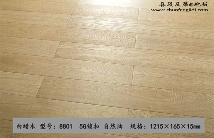 8801_副本_副本_副本_副本.jpg