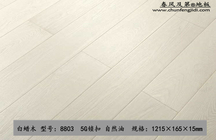 8803_副本_副本_副本_副本.jpg