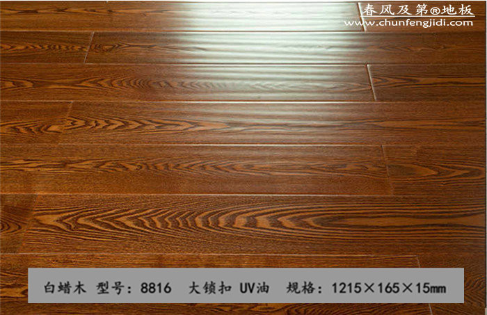 8816_副本_副本_副本_副本.jpg