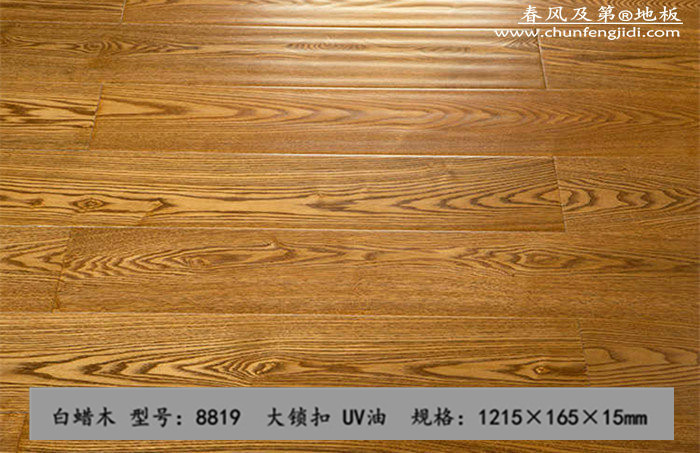 8819_副本_副本_副本_副本.jpg