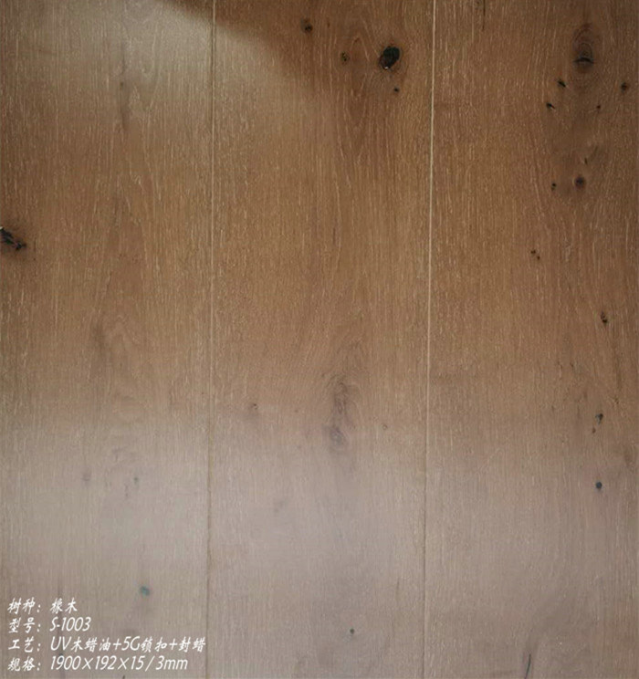 e8db70bf9069064b757bb9da78c0aa9e.jpg
